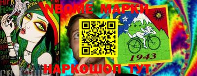 крисы Можга