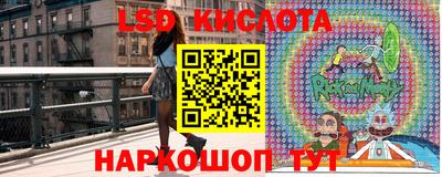 прущие грибы Балашиха