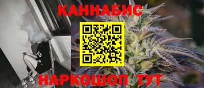 крисы Можга