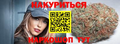 крисы Можга