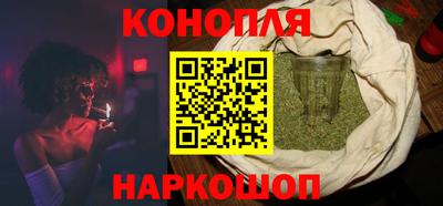 крисы Можга