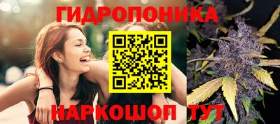 spice Моздок