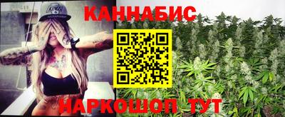 крисы Можга