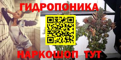 амф Балахна