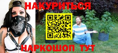 крисы Можга