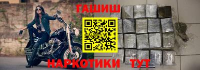 крисы Можга