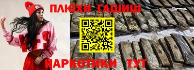 крисы Можга