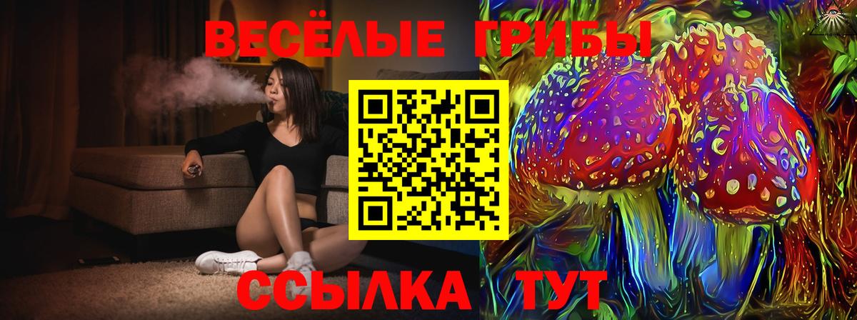 Галлюциногенные грибы Magic Shrooms Гусиноозёрск