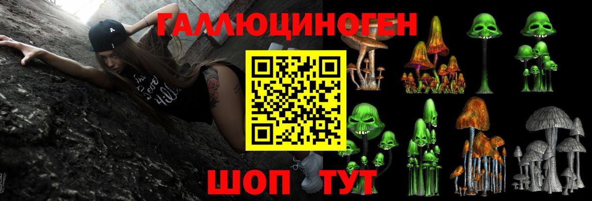 Галлюциногенные грибы Psilocybine cubensis  Гусиноозёрск 